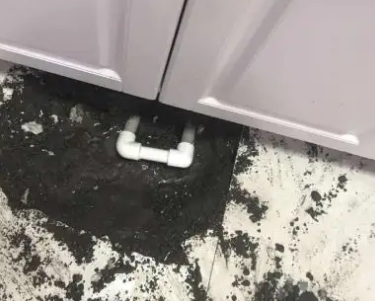 东城查漏水哪家好